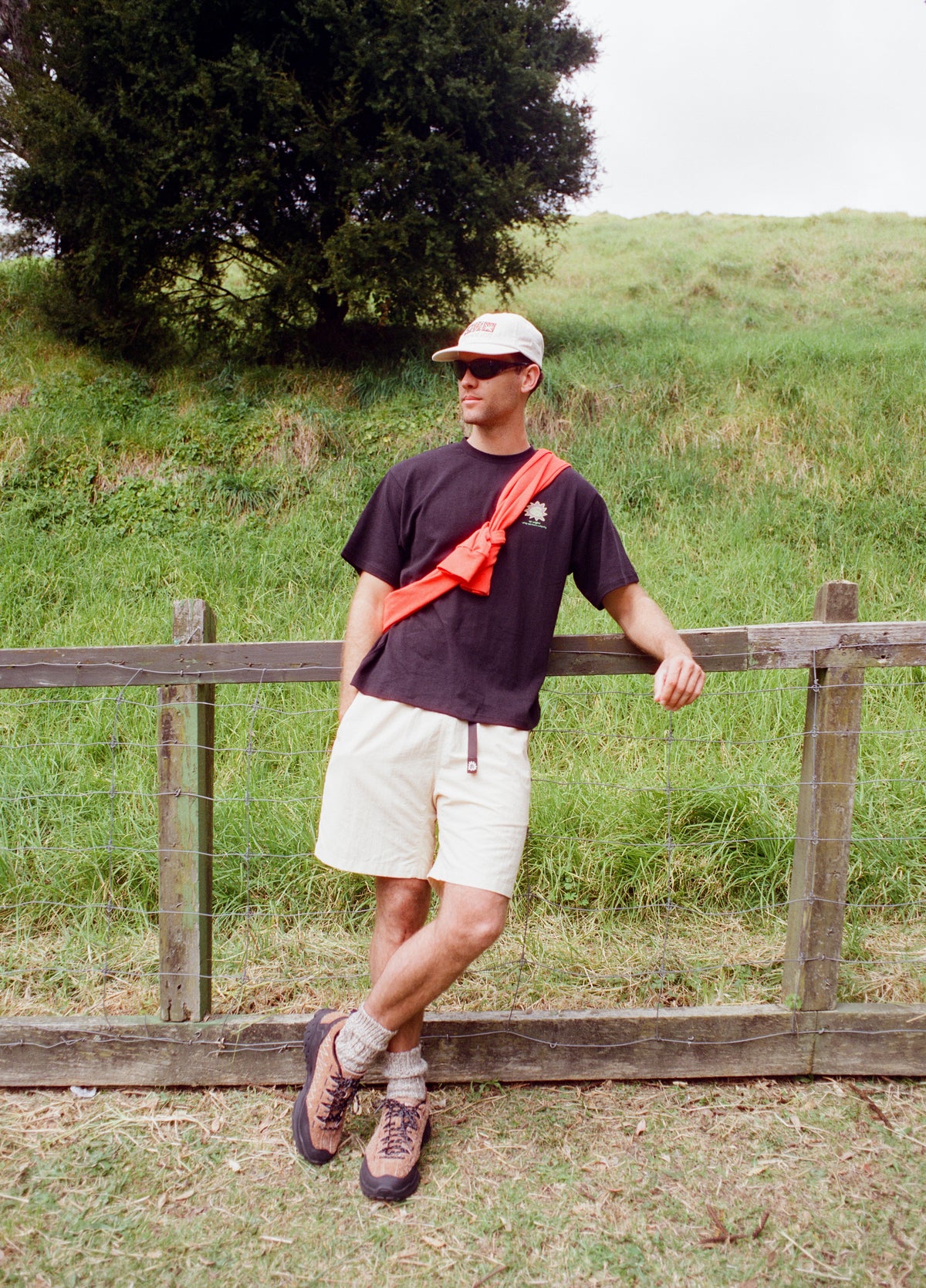 Display Image