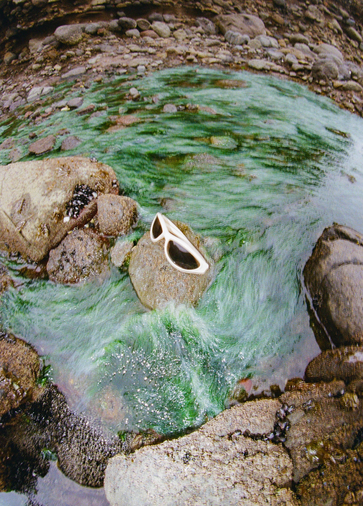The G Sunglasses - Bone