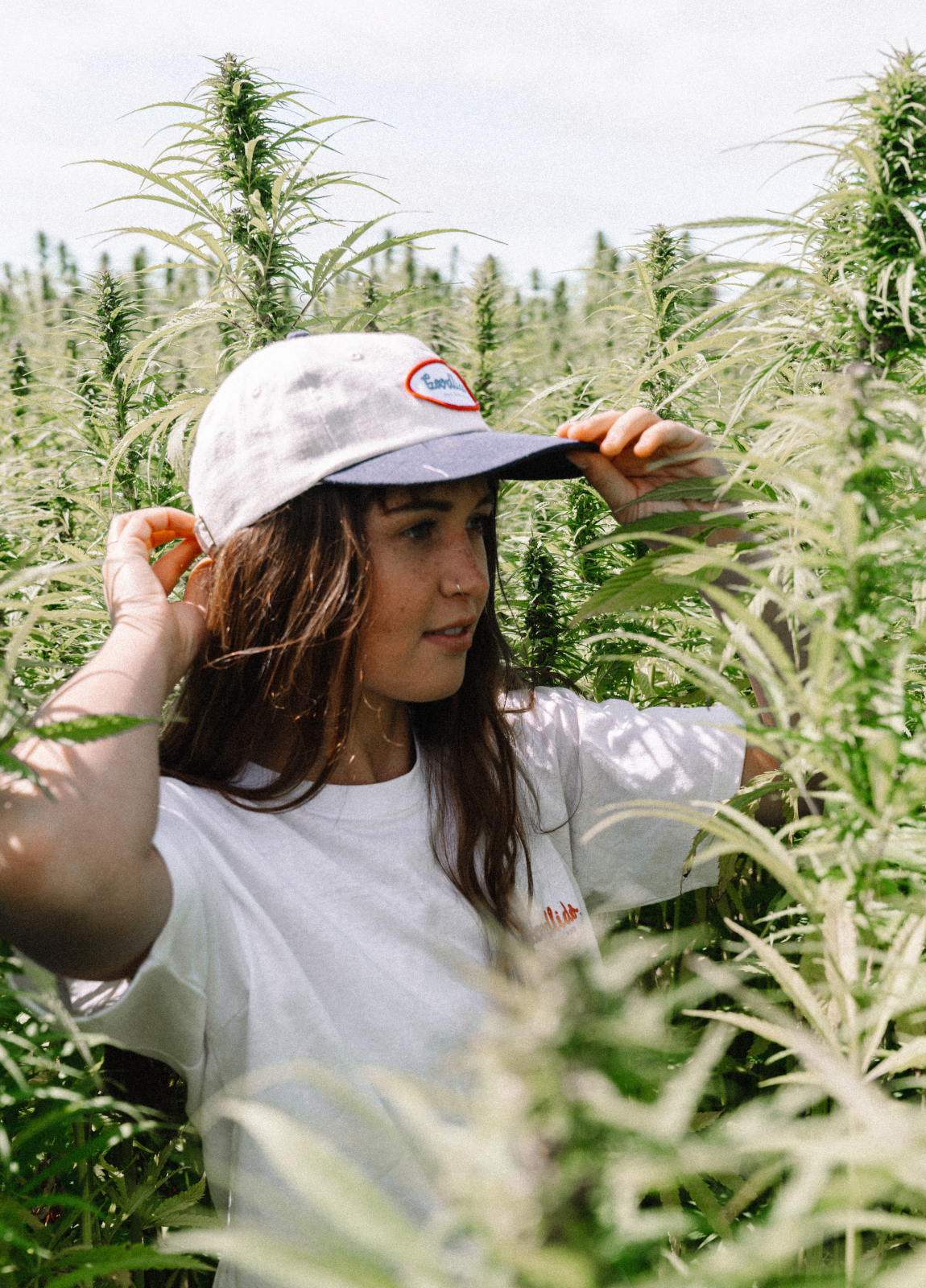 Signature Lid - White/Navy
